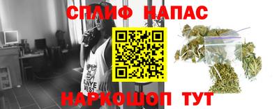 apvp Новозыбков
