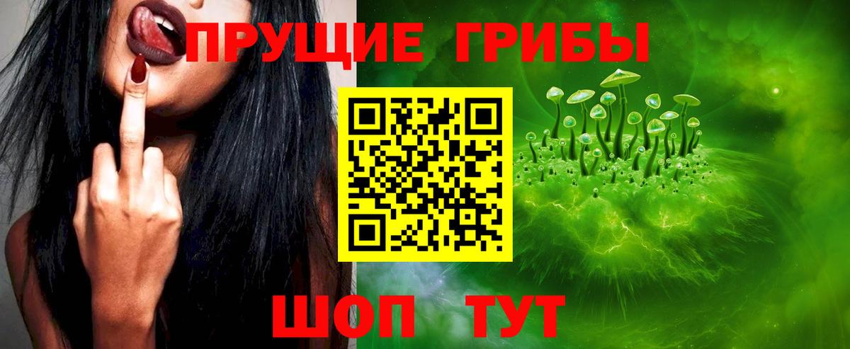 закладка  Галлюциногенные грибы ЛСД  Вход с VPN  Псилоцибиновые грибы MAGIC MUSHROOMS  Ставрополь 