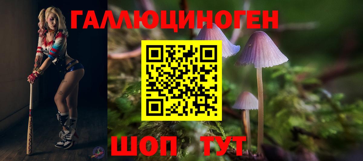 Псилоцибиновые грибы Psilocybine cubensis Ставрополь